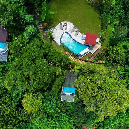 Bali Jungle Camping By Amerta Experience Tabanan  Exterior photo