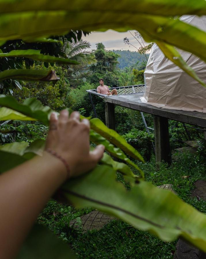 Bali Jungle Camping By Amerta Experience Tabanan  Exterior photo