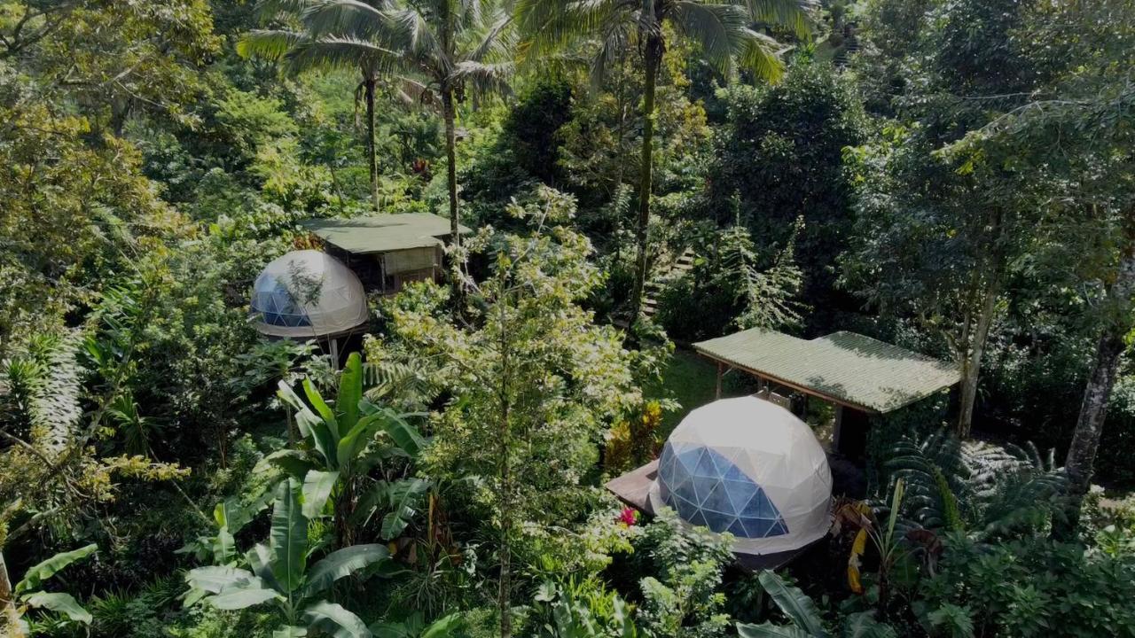 Bali Jungle Camping By Amerta Experience Tabanan  Exterior photo