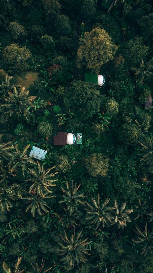 Bali Jungle Camping By Amerta Experience Tabanan  Exterior photo